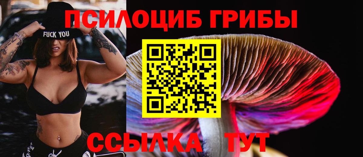 Псилоцибиновые грибы GOLDEN TEACHER Октябрьский